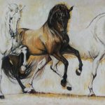 Horses riding freedom / Caballos cabalgando el libertad