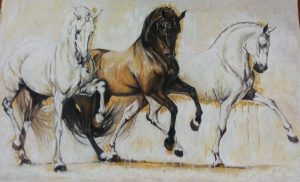 Horses riding freedom / Caballos cabalgando el libertad